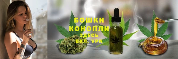 шишки Балахна