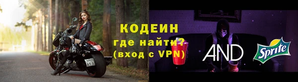 индика Беломорск
