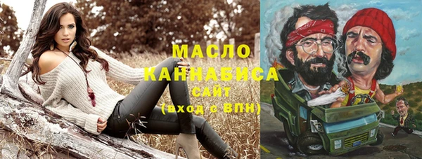 индика Беломорск