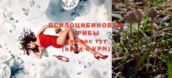 каннабис Белокуриха