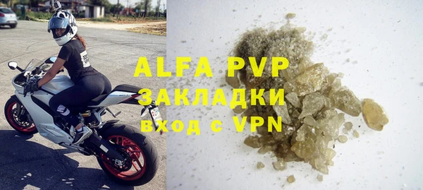 индика Беломорск