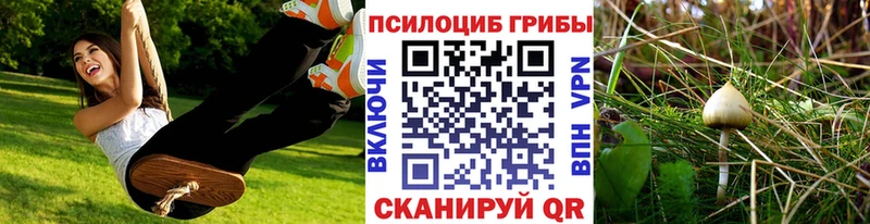 магазин продажи   Салаир  Псилоцибиновые грибы прущие грибы 